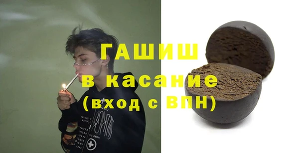 гашик Мегион
