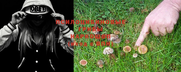 шишки Михайловка