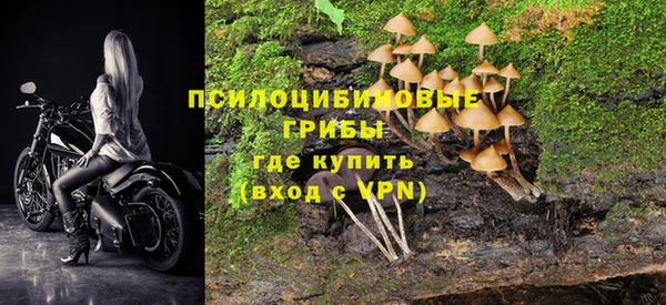 гашик Мегион
