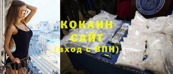 гашик Мегион