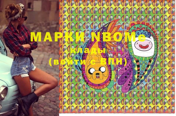молекула духа Медвежьегорск