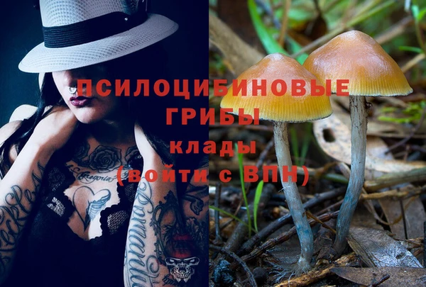 альфа пвп Надым