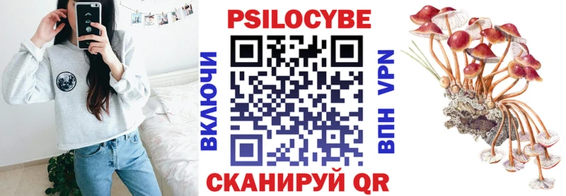 Купить где Далматово Псилоцибиновые грибы прущие грибы